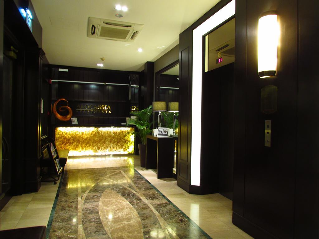 Alocassia Serviced