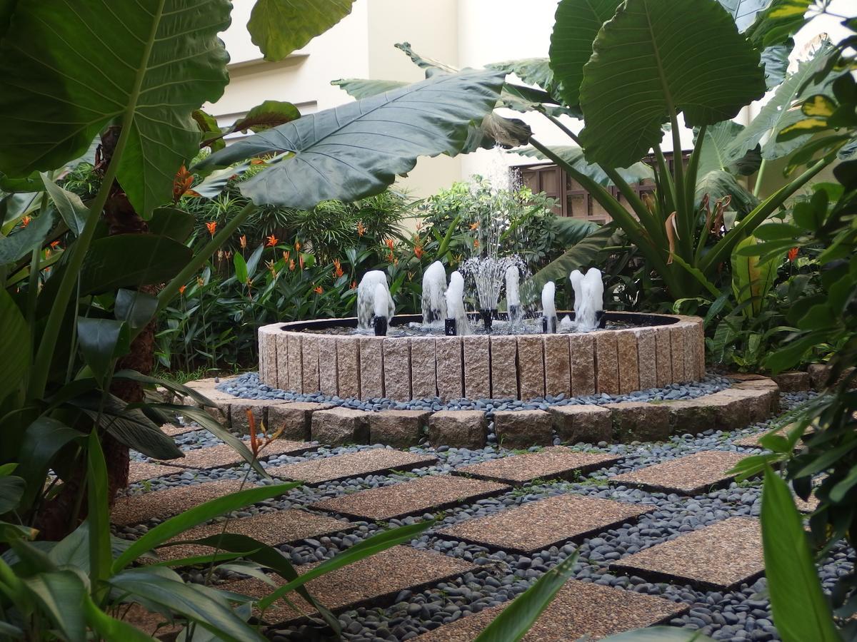 Aparthotel Alocassia Serviced